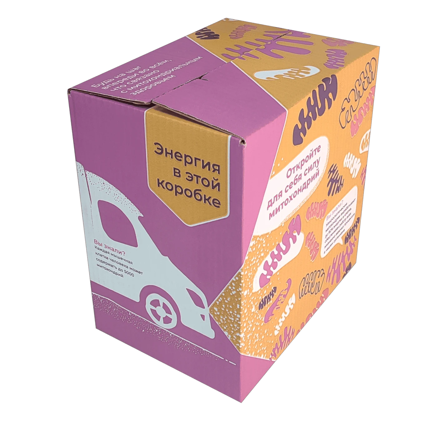 mitoxondrii_portfolio_01
